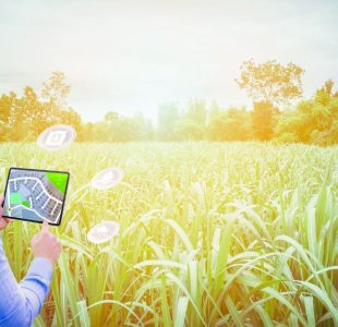 Precision Agriculture Leveraging Remote Sensing for Agricultural Management System (AMS)