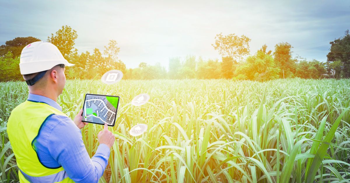 Precision Agriculture Leveraging Remote Sensing for Agricultural Management System (AMS)