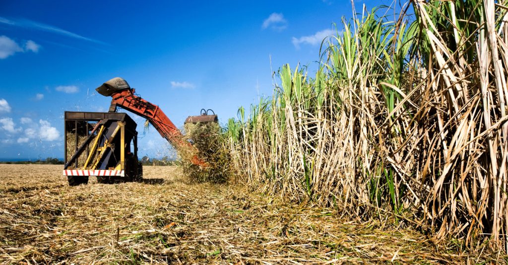 Comprehensive agronomy management solutions for sugar companies
