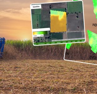 How remote sensing in SugarCube improves sugarcane yield India Africa