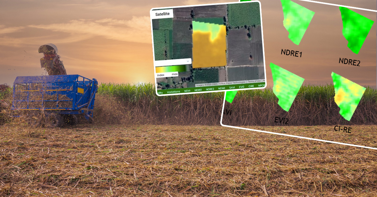 How remote sensing in SugarCube improves sugarcane yield India Africa